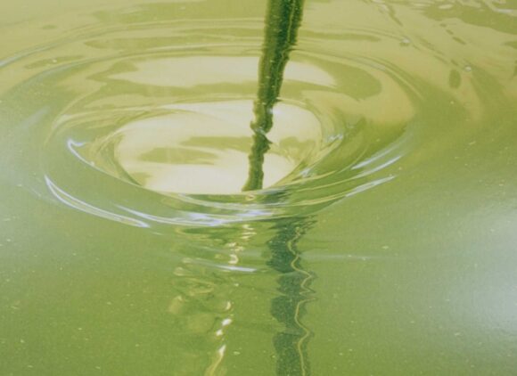 Why Are Quality Assurance Standards Vital in Chemical Blending?